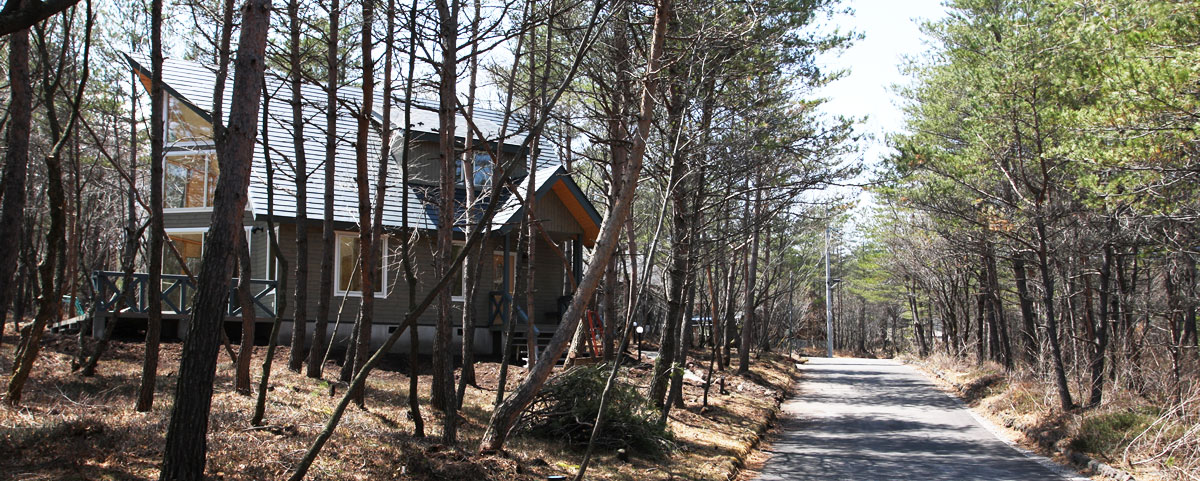 浅間ハイランドパーク19次付近の街並み