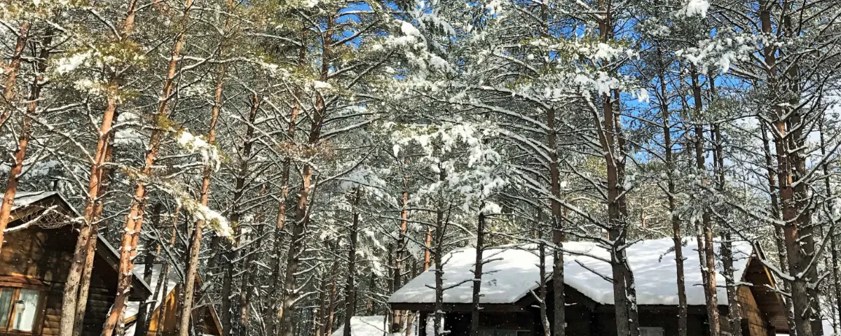 浅間ハイランドパークから浅間山