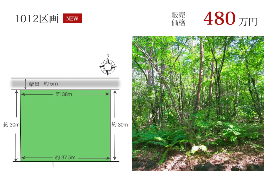 1012区画　480万円