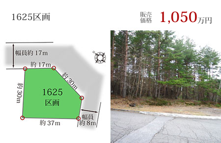 1625区画　1,050万円