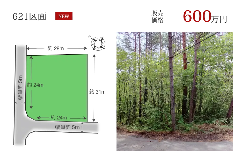 621区画　480万円