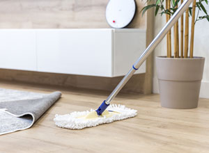 室内清掃・窓清掃