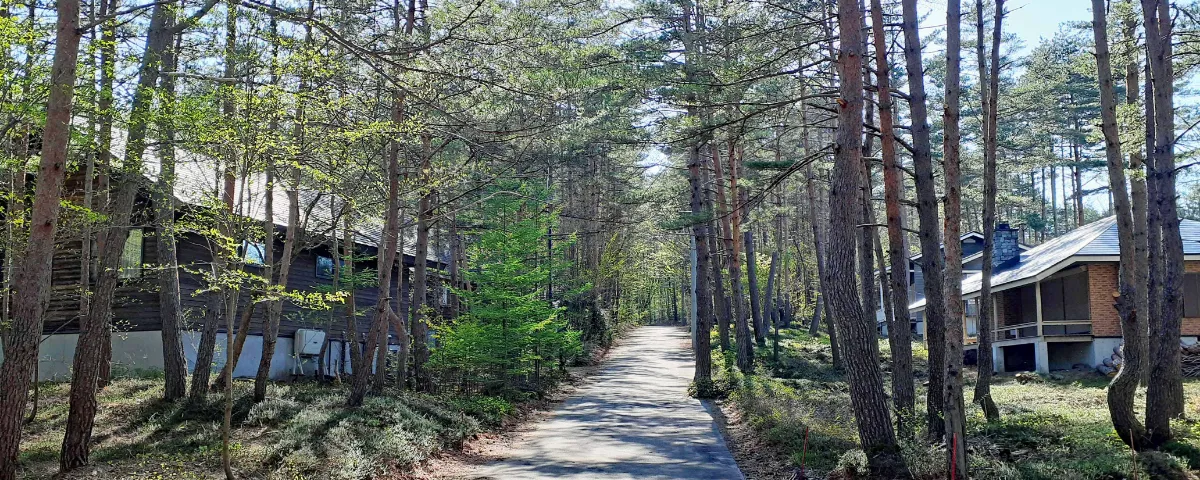 別荘地内街並み